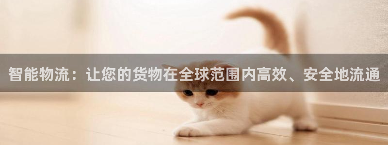 豪门国际加拿大技巧：智能物流：让您的