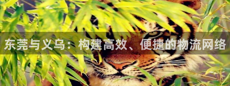 豪门国际提款一直没到：东莞与义乌：构