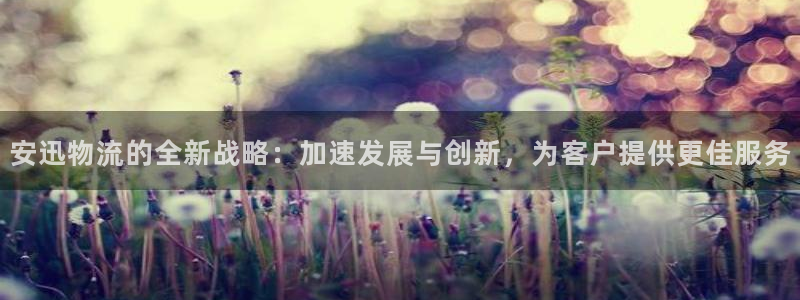 豪门国际cn：安迅物流的全新战略：加