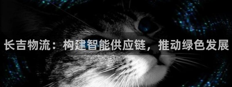 豪门国际官网下载APP：长吉物流：构