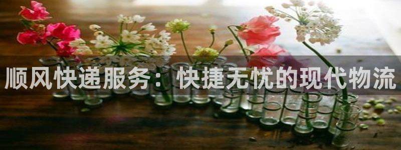 豪门国际注册官网：顺风快递服务：快捷