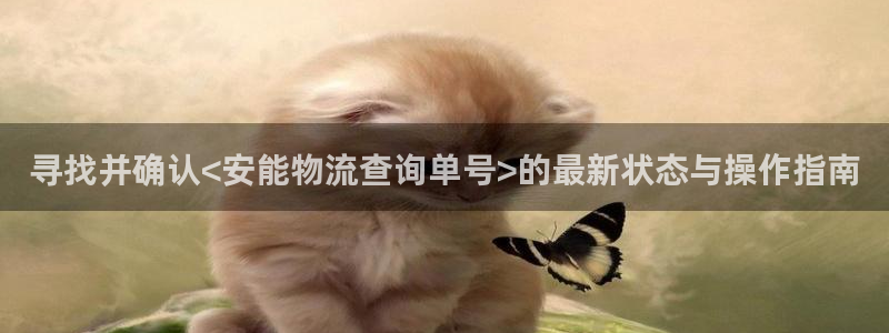 豪门国际客服电话：寻找并确认<安能物