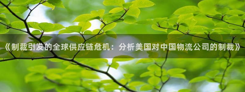 豪门国际注册网址：《制裁引发的全球供