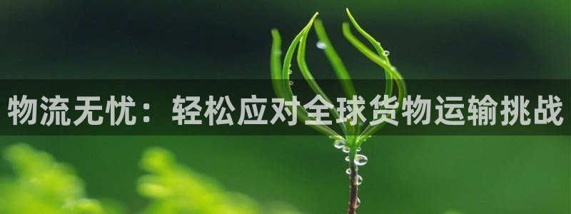 豪门国际自行车图片大全：物流无忧：轻