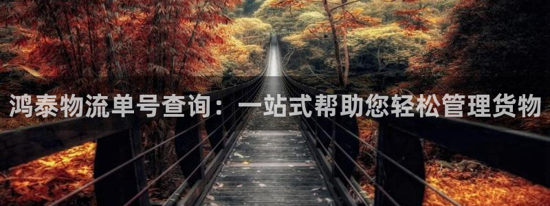 豪门国际登录流程：鸿泰物流单号查询：