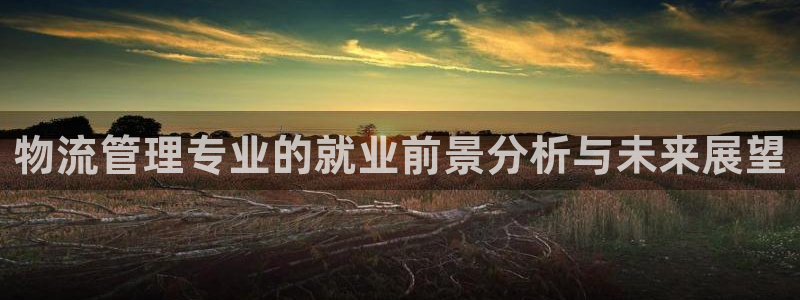 豪门国际官方官网版：物流管理专业的就业前景分析与未来展望