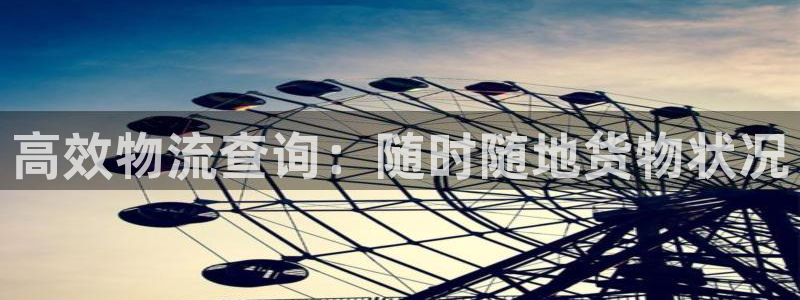 豪门国际官网入口pc正版：高效物流查