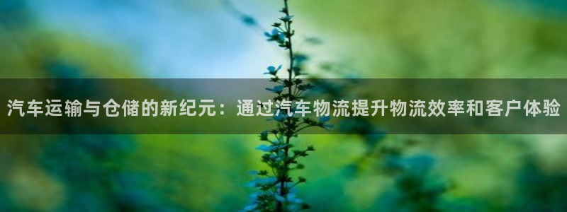 豪门国际官网下载链接是什么网站：汽车
