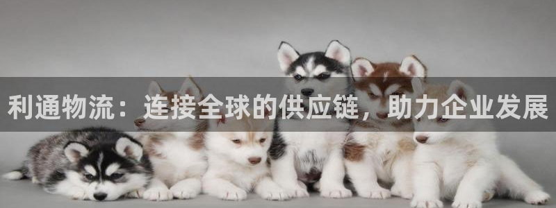 豪门国际官方官网版：利通物流：连接全