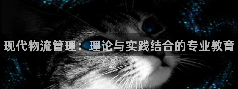 豪门国际下载不了