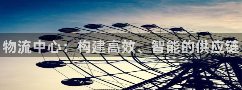 豪门国际为什么打不开：物流中心：构建