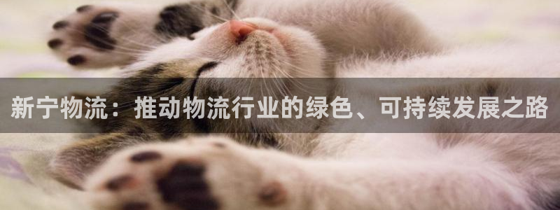 豪门国际初始密码在哪里修改：新宁物流：推动物流行业的绿色、可