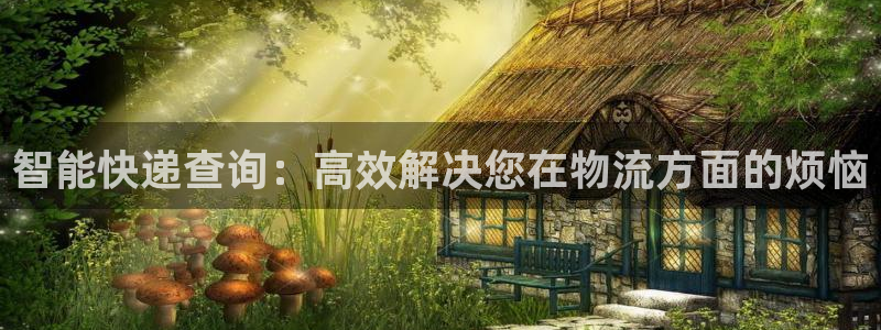 豪门国际注册官网：智能快递查询：高效