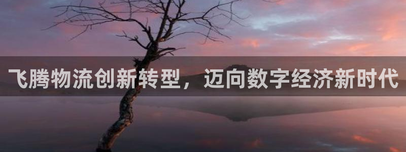 豪门国际加拿大预测：飞腾物流创新转型