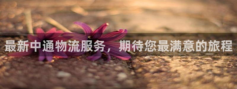 豪门国际比特28真实吗：最新中通物流
