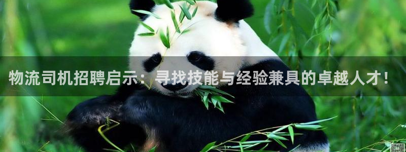 豪门国际软件是诈骗吗：物流司机招聘启