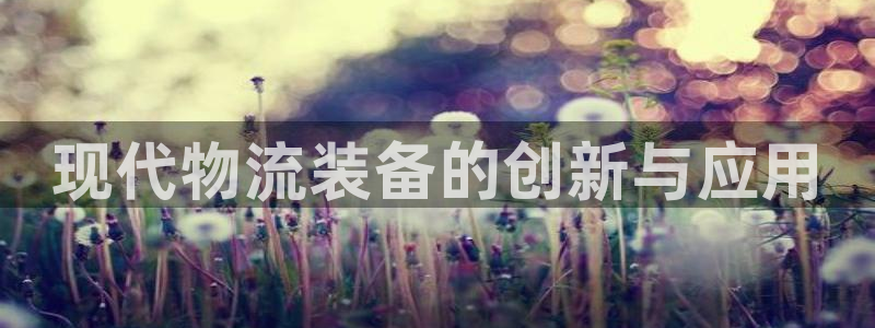 豪门国际加拿大6.0：现代物流装备的