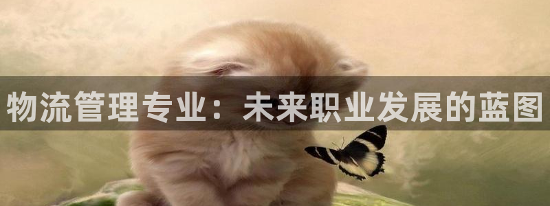 豪门国际推广链接是多少钱一个：物流管理专业：未来职业发展的蓝
